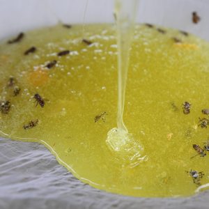 Mật ong bạc hà thường có màu vàng xanh trong suốt, ăn có vị thơm dịu.